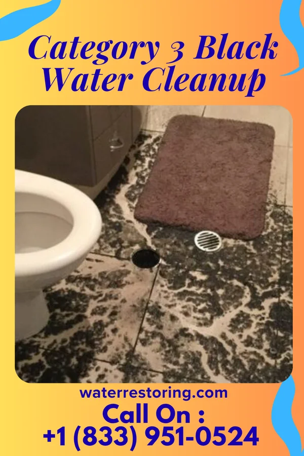 Category 3 Black Water Cleanup in Sunny Slopes, CA